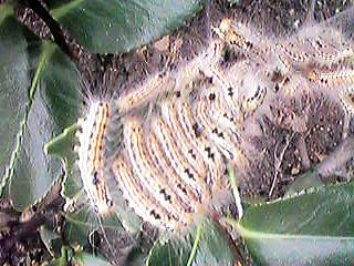 ��������Ⴞ�߂��I