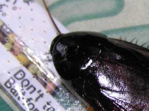 ������w������