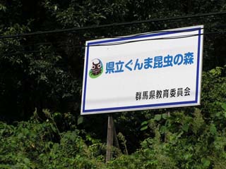 ���̎R�S�̂������̐X�炵��