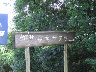 ���p�T�N��������