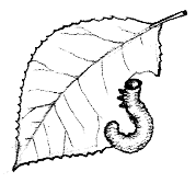 ���r�ł��܂��Ăނ���ނ���