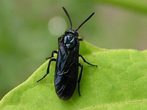 �����`���E�����W