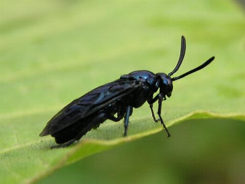 �����`���E�����W