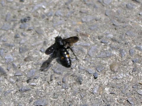 �����čs���n�`