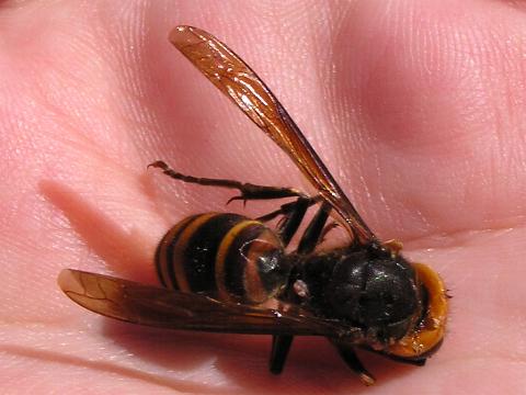 �R�K�^�X�Y���o�`