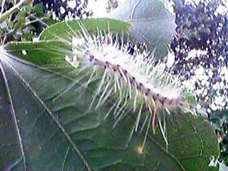 �������ђ�