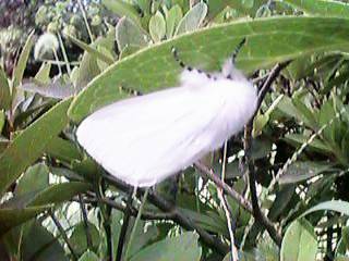 �Ă̏I���ɕ����~�肽����