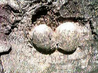 �͂����Ă܂�