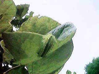 ����������l������