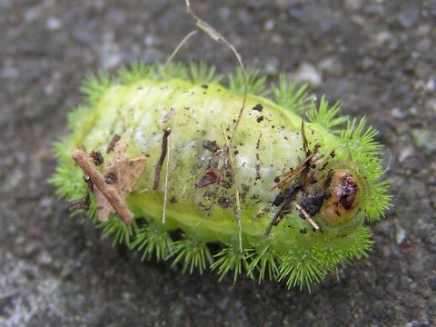 �Ђ����肩��������C����