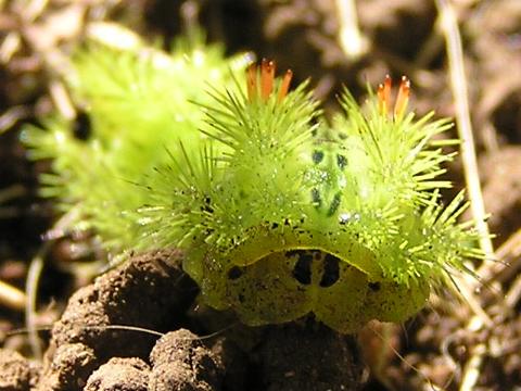 ����ȂɌ�����Ƃ͂��������c