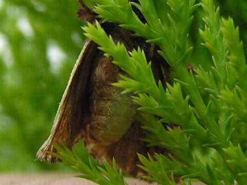 �������I