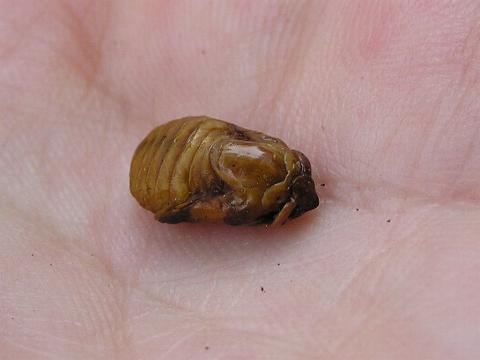 �������H