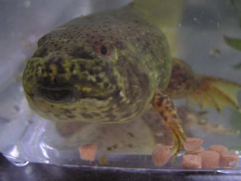 ���肪������