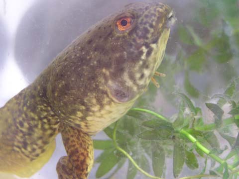 �E��͂��ꂩ�琶���Ă���