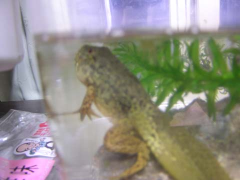 �܂����h�ȐK��������