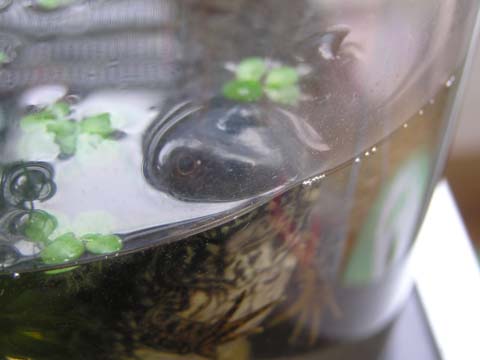 ���������o��