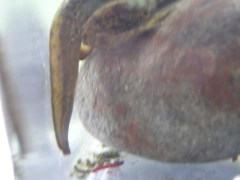 �q���������������Ȃ��Ă���K��