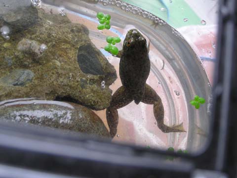 �K���͂����قƂ�ǂȂ�