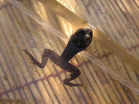 �a������[