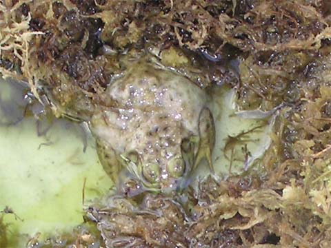 �~�����H