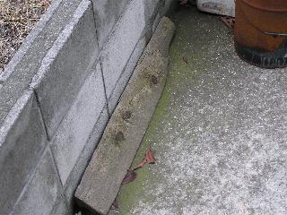 ���肩�����؂̐؂�[