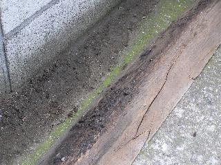 ���Ԃ��Ă݂悤