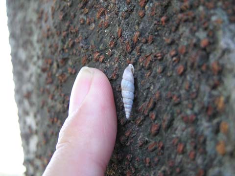 �����Ȋ����L