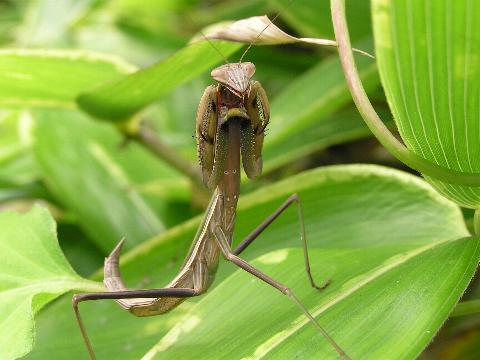 �A�^�C�ɂȂ񂩗p�H