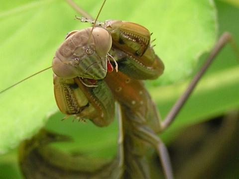 �J�}�L�������[