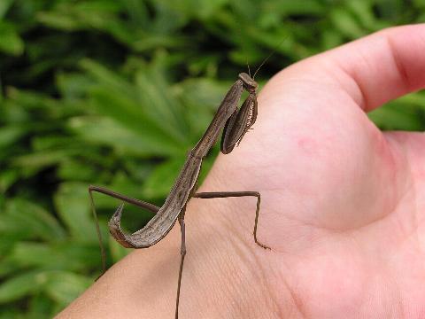 �A�^�V�����ĐK���炢�グ������