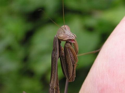 �A�^�V���ꂢ�H