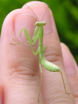 ��ׁ[�A�߂܂����܂�����