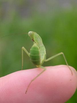 �W���W������Ȃ��Ă�