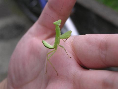 ���Ԃ�n���r���J�}�L��