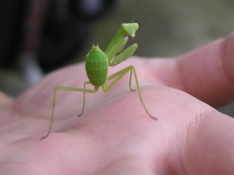 ���܂Ō��Ă�́H