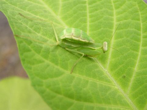 ����₾�A�܂����������������