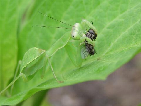 ���V�����V���c