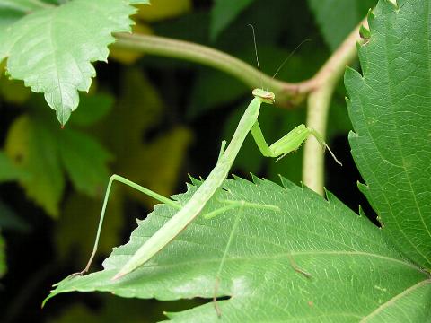 �I�I�J�}�L���H