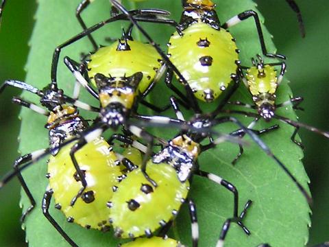 �召�܂����Ă����܂��ĕ�炵�Ă���