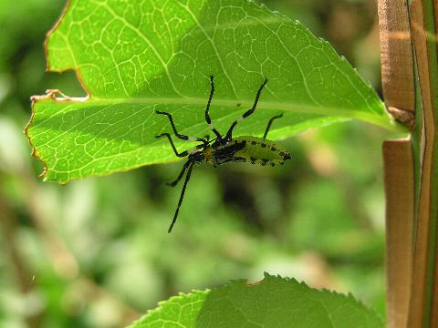 �Ђ������