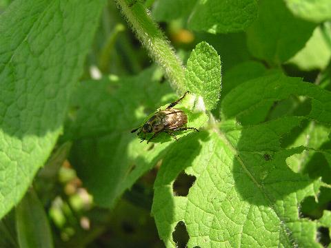 �Z�}�_���R�K�l