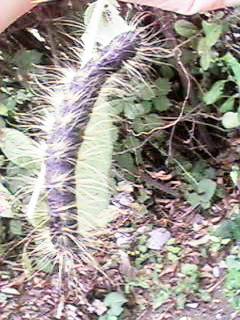 ���Ԃ�I��c��