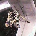 �����A�n�`�H