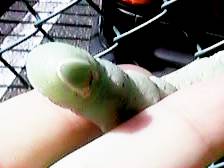 �O�p�̖ʍ���