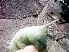 ����ǂ��K��