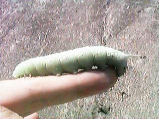 �T�U�i�~�X�Y���S�g�}