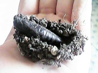 �I�I�X�J�V�o���