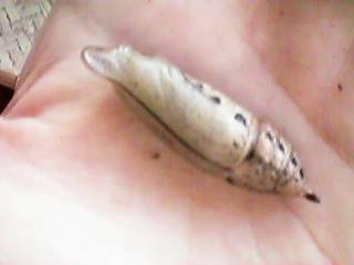 ���A��������c�c