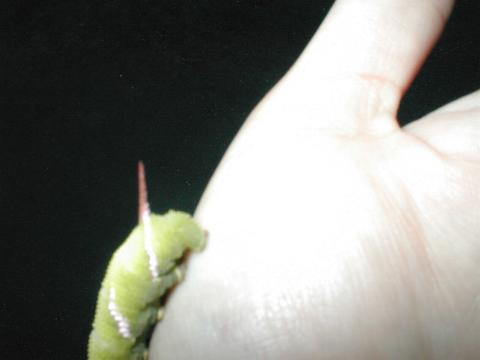 ������K��